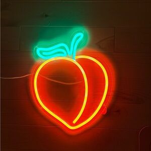 Vibrant Neon Peach Wall Decor LED light
